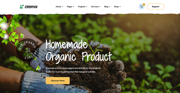 Homemade Organic Products